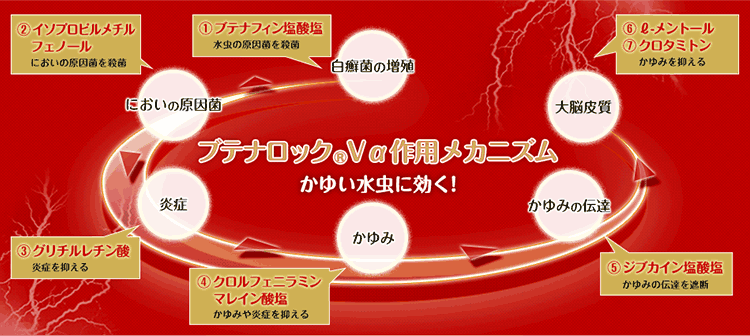 ブテナロック®Vα作用メカニズム かゆい水虫に効く！