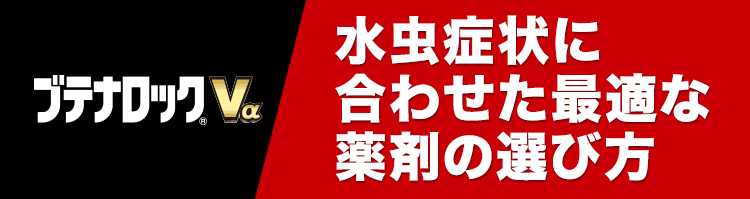 ブテナロック®Vα水虫症状に合わせた最適な薬剤の選び方