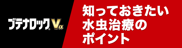 知っておきたい！水虫治療のポイント