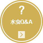 水虫Q&A