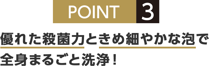 POINT3 優れた殺菌力ときめ細やかな泡で全身まるごと洗浄！