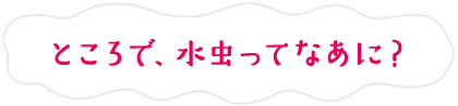 ところで、水虫ってなあに？