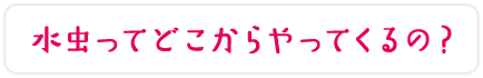 水虫ってどこからやってくるの？