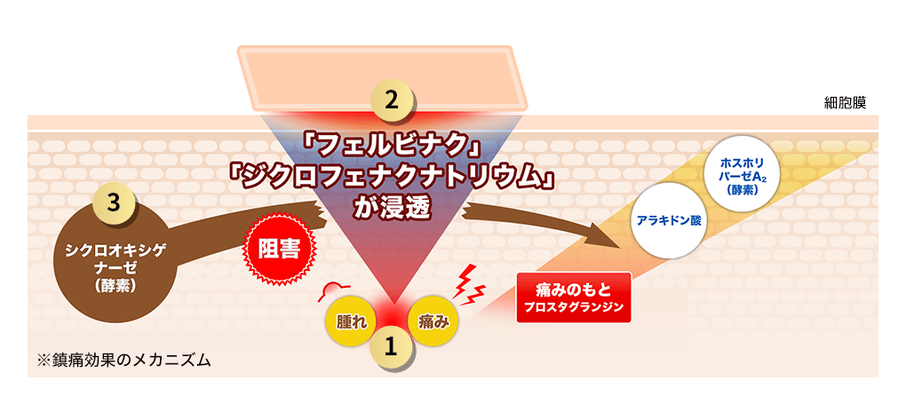 鎮痛効果のメカニズムのイメージ図