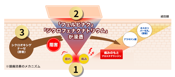 鎮痛効果のメカニズムのイメージ図