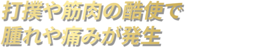 打撲や筋肉の酷使で腫れや痛みが発生