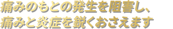 痛みのもとの発生を阻害し、痛みと炎症を鋭くおさえます