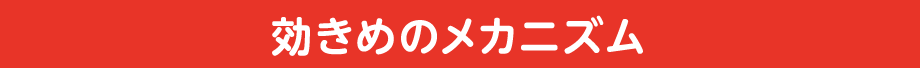 効きめのメカニズム