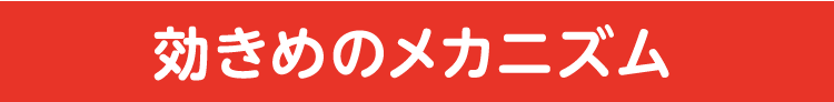 効きめのメカニズム