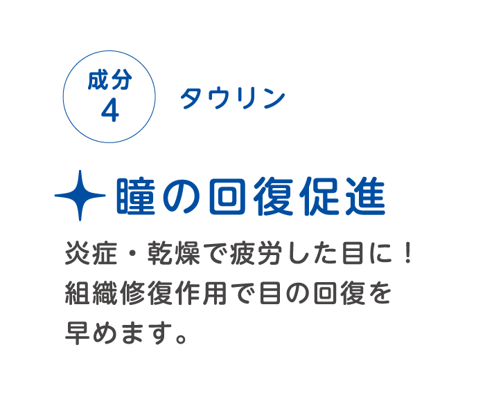 成分4　タウリン　瞳の回復促進