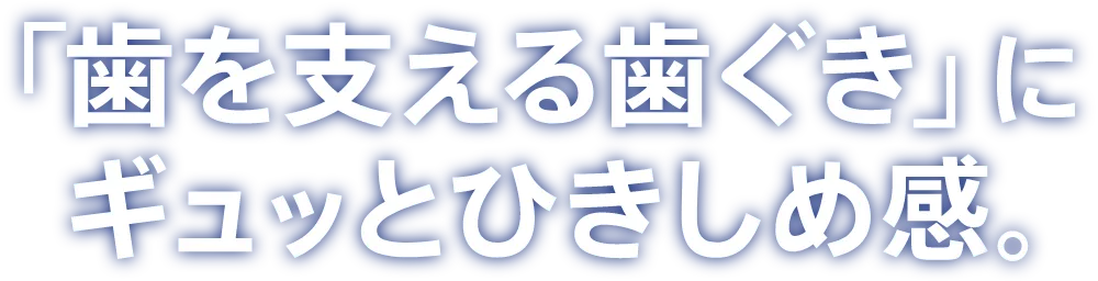 「歯を支える歯ぐき」にギュッとひきしめ感