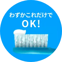 わずかこれだけでOK!